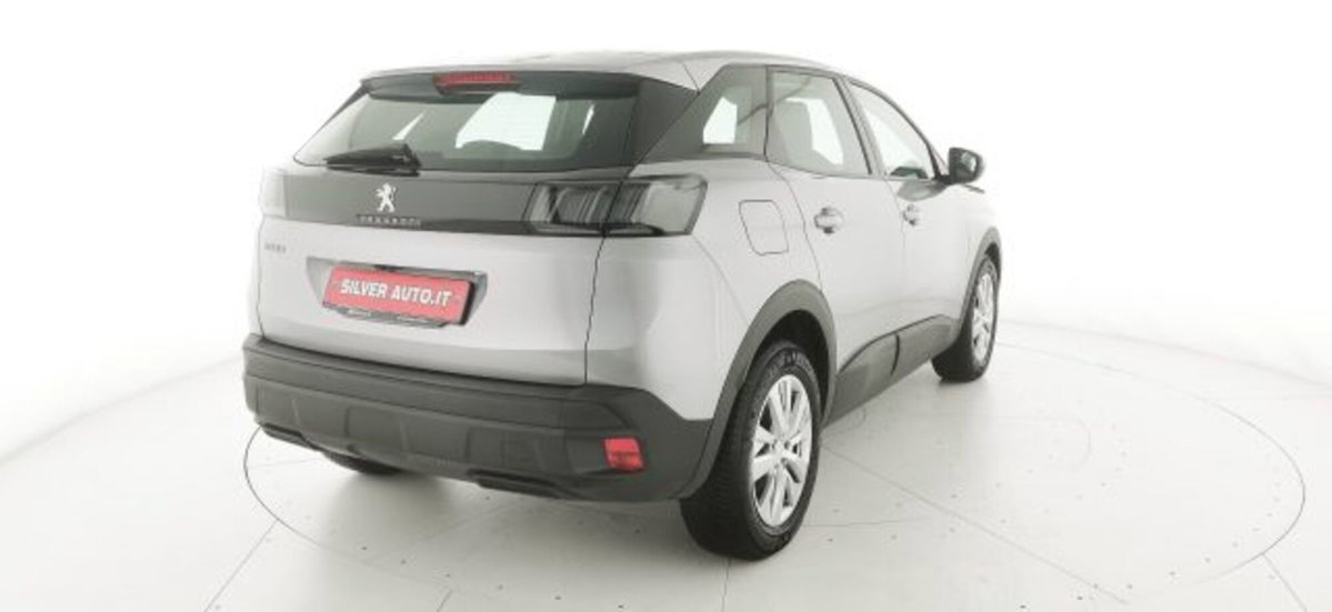 Peugeot 3008 BlueHDi 130 S&S Active Business (7)