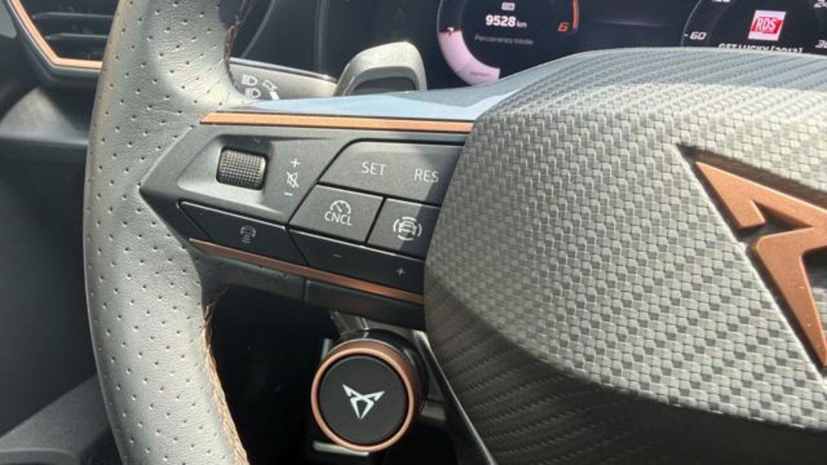 Cupra Formentor Formentor 2.0 tdi 4drive 150cv dsg (6)