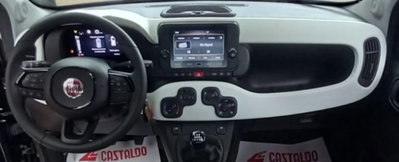 Fiat Panda Cross 1.0 firefly hybrid Cross s&s 70cv 5p.ti (12)