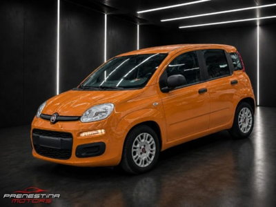 Fiat Panda 1.0 firefly hybrid s&s 70cv 5p.ti usata
