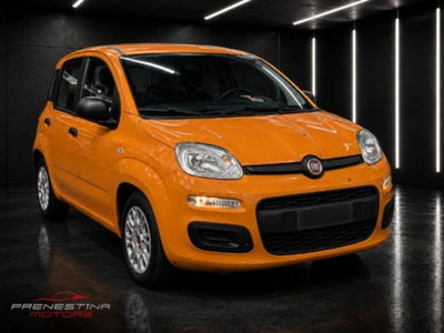 Fiat Panda 1.0 firefly hybrid s&s 70cv 5p.ti (2)