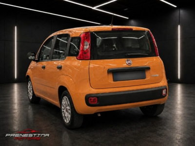 Fiat Panda 1.0 firefly hybrid s&s 70cv 5p.ti (3)