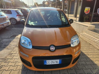 Fiat Panda 1.0 firefly hybrid s&s 70cv 5p.ti (2)