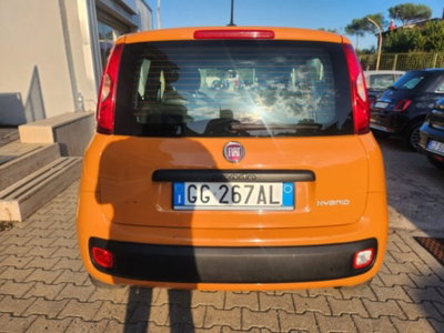 Fiat Panda 1.0 firefly hybrid s&s 70cv 5p.ti (5)