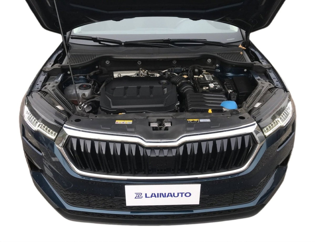 Skoda Karoq 2.0 TDI EVO SCR 115 CV DSG Style (12)