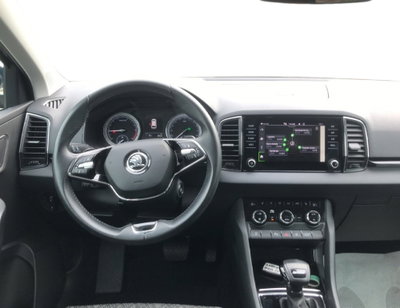 Skoda Karoq 2.0 TDI EVO SCR 115 CV DSG Style (16)