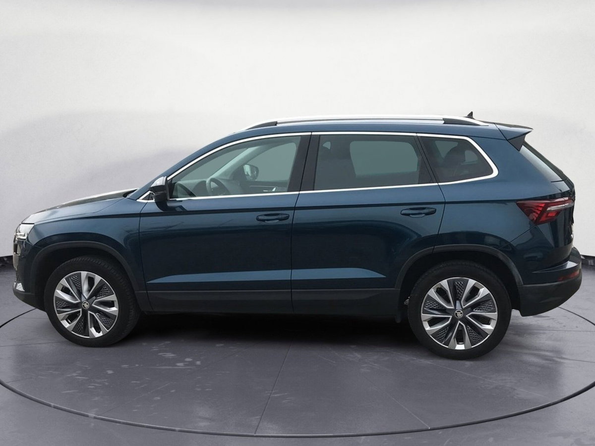 Skoda Karoq 2.0 TDI EVO SCR 115 CV DSG Style (8)