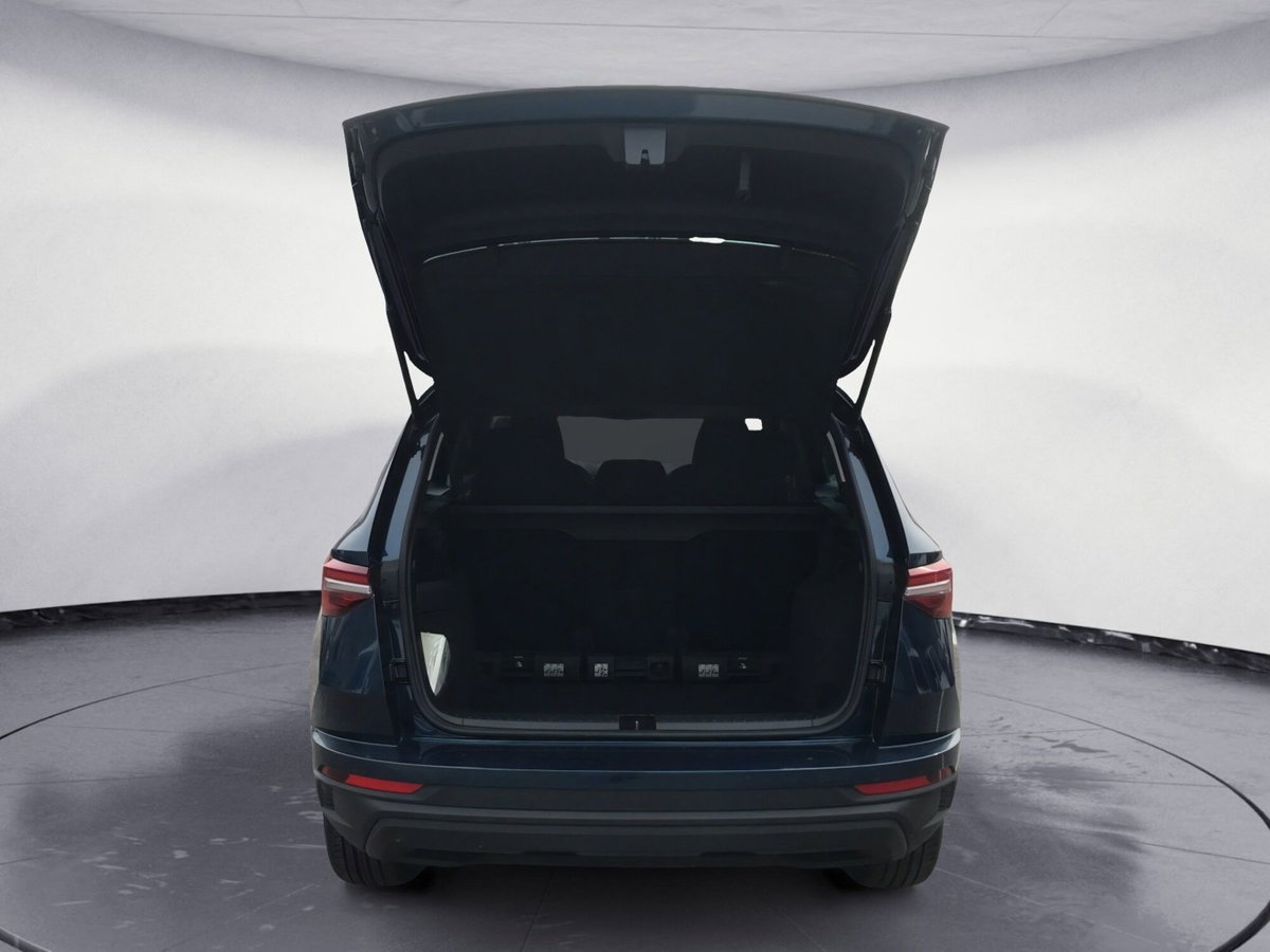 Skoda Karoq 2.0 TDI EVO SCR 115 CV DSG Style (9)