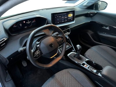 Peugeot 208 PureTech 100 Stop&Start 5 porte Allure (6)