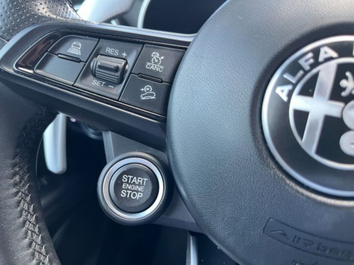 Alfa Romeo Stelvio Stelvio 2.2 Turbodiesel 190 CV AT8 Q4 Sprint (17)