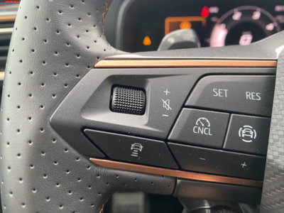 Cupra Leon Leon 2.0 tdi 150cv dsg (11)