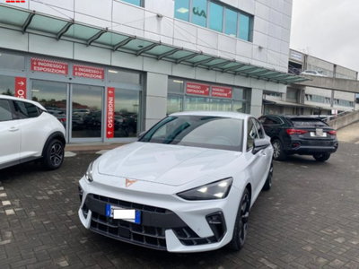 Cupra Leon Leon 2.0 tdi 150cv dsg (2)