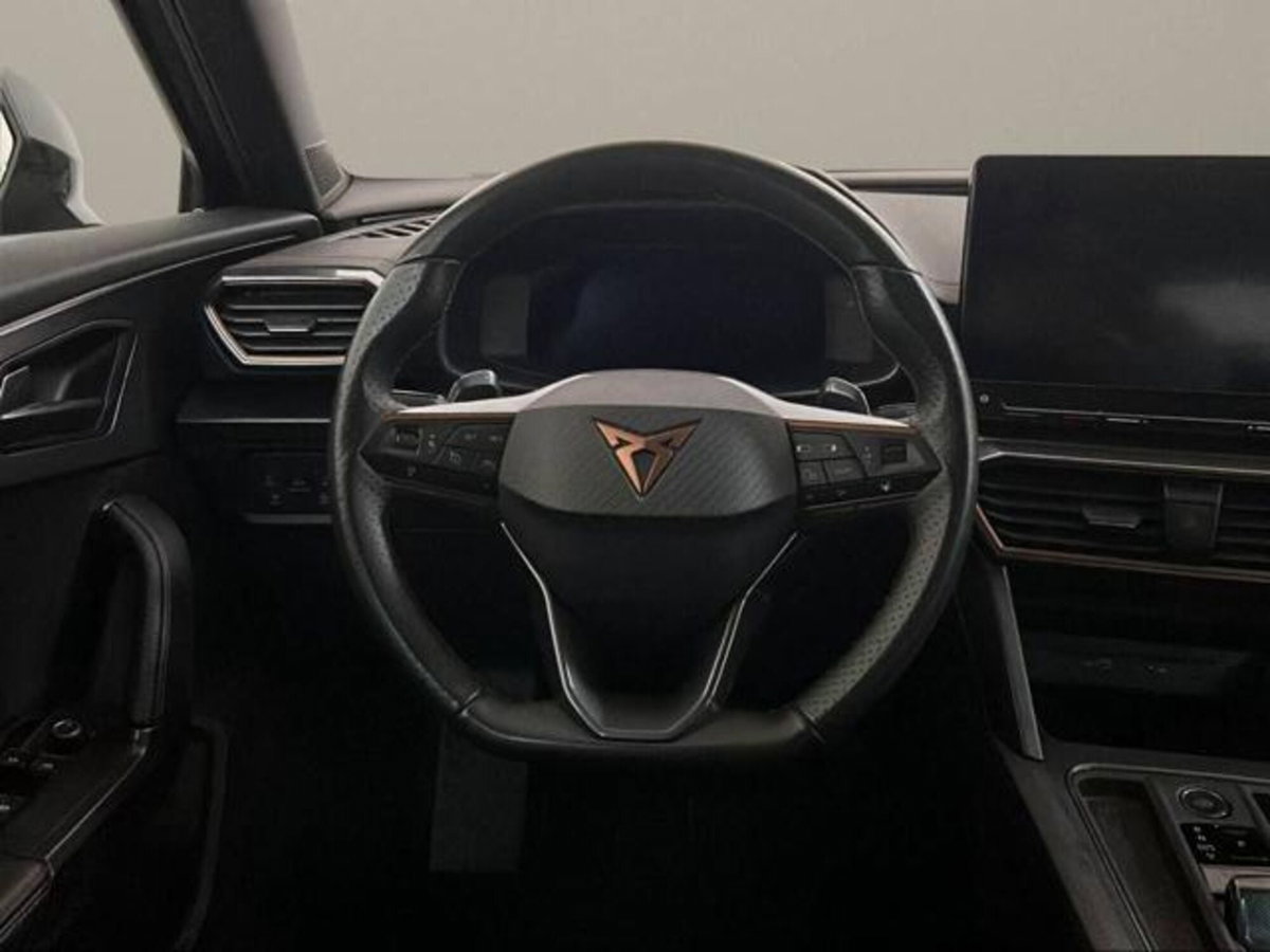Cupra Formentor Formentor 2.0 tdi 4drive 150cv dsg (17)