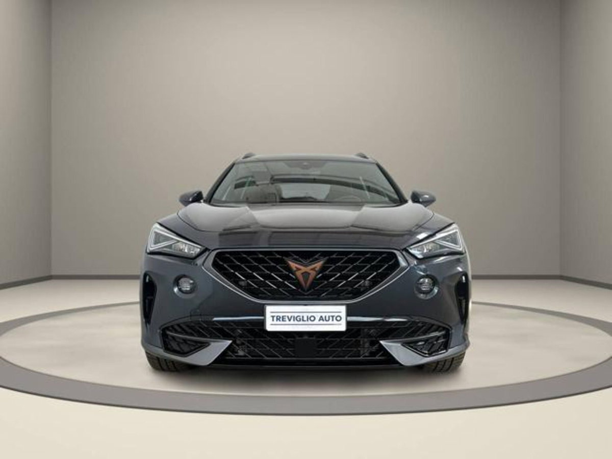 Cupra Formentor Formentor 2.0 tdi 4drive 150cv dsg (2)
