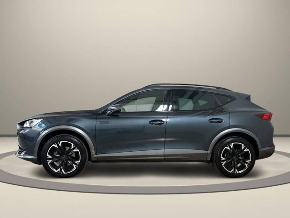 Cupra Formentor Formentor 2.0 tdi 4drive 150cv dsg (3)