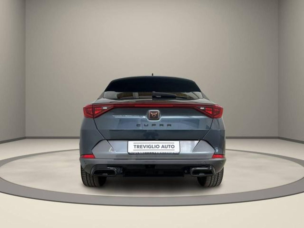 Cupra Formentor Formentor 2.0 tdi 4drive 150cv dsg (6)