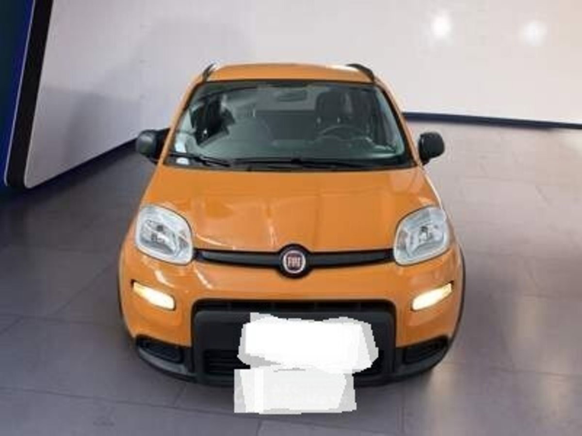 Fiat Panda 1.0 FireFly S&S Hybrid (4)