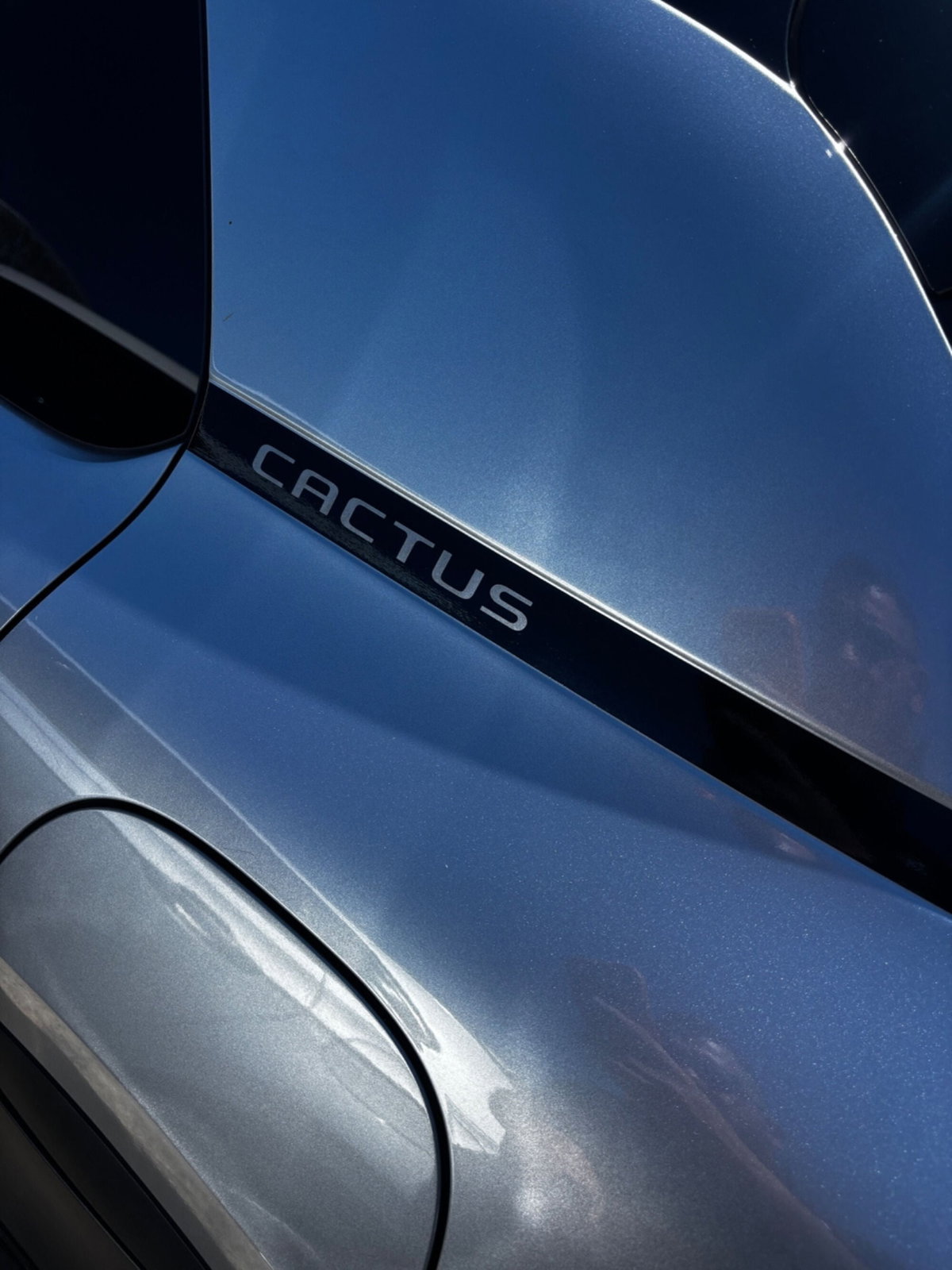 Citroen C4 Cactus BlueHDi 100 S&S Shine (11)