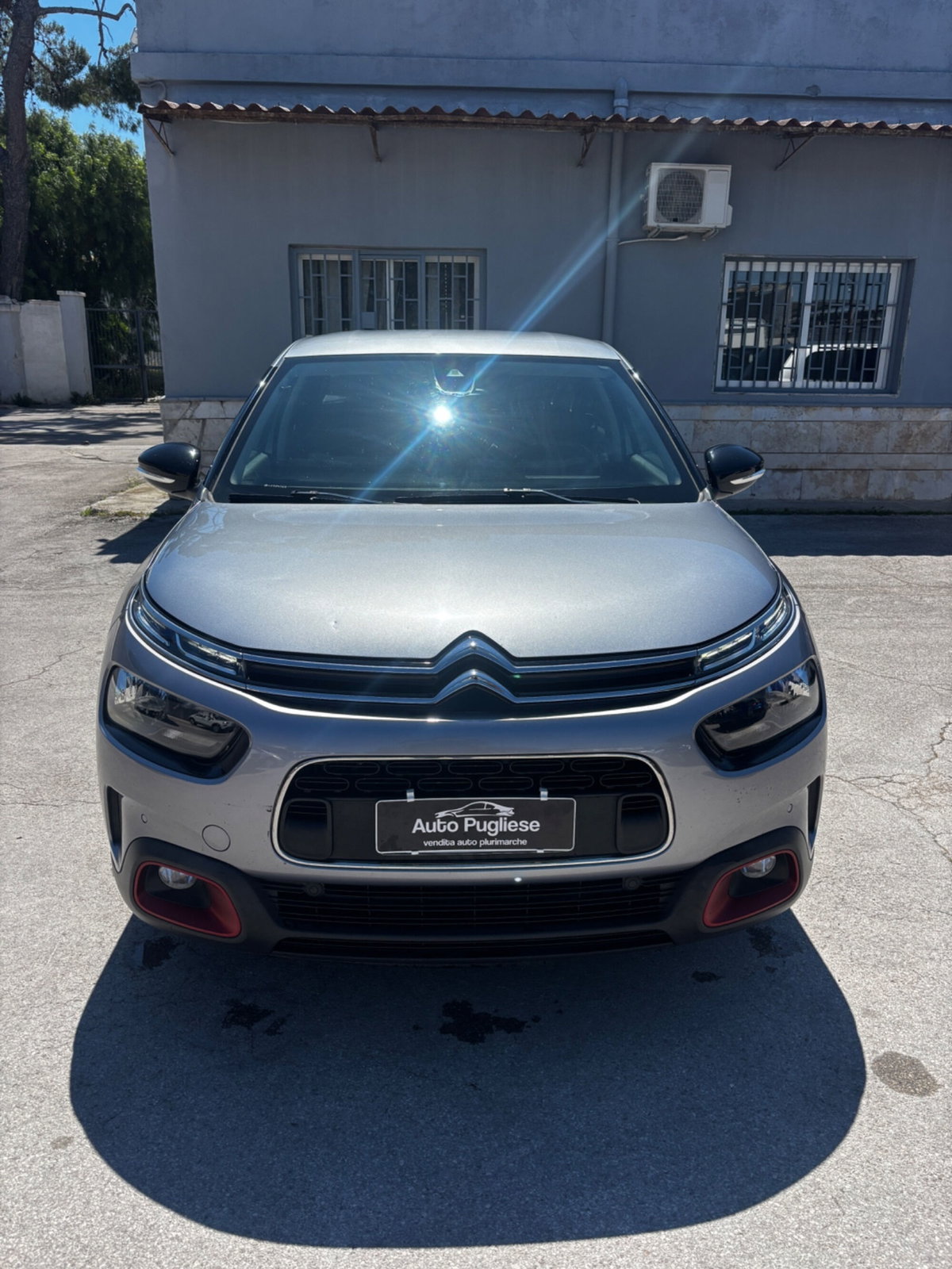 Citroen C4 Cactus BlueHDi 100 S&S Shine (2)