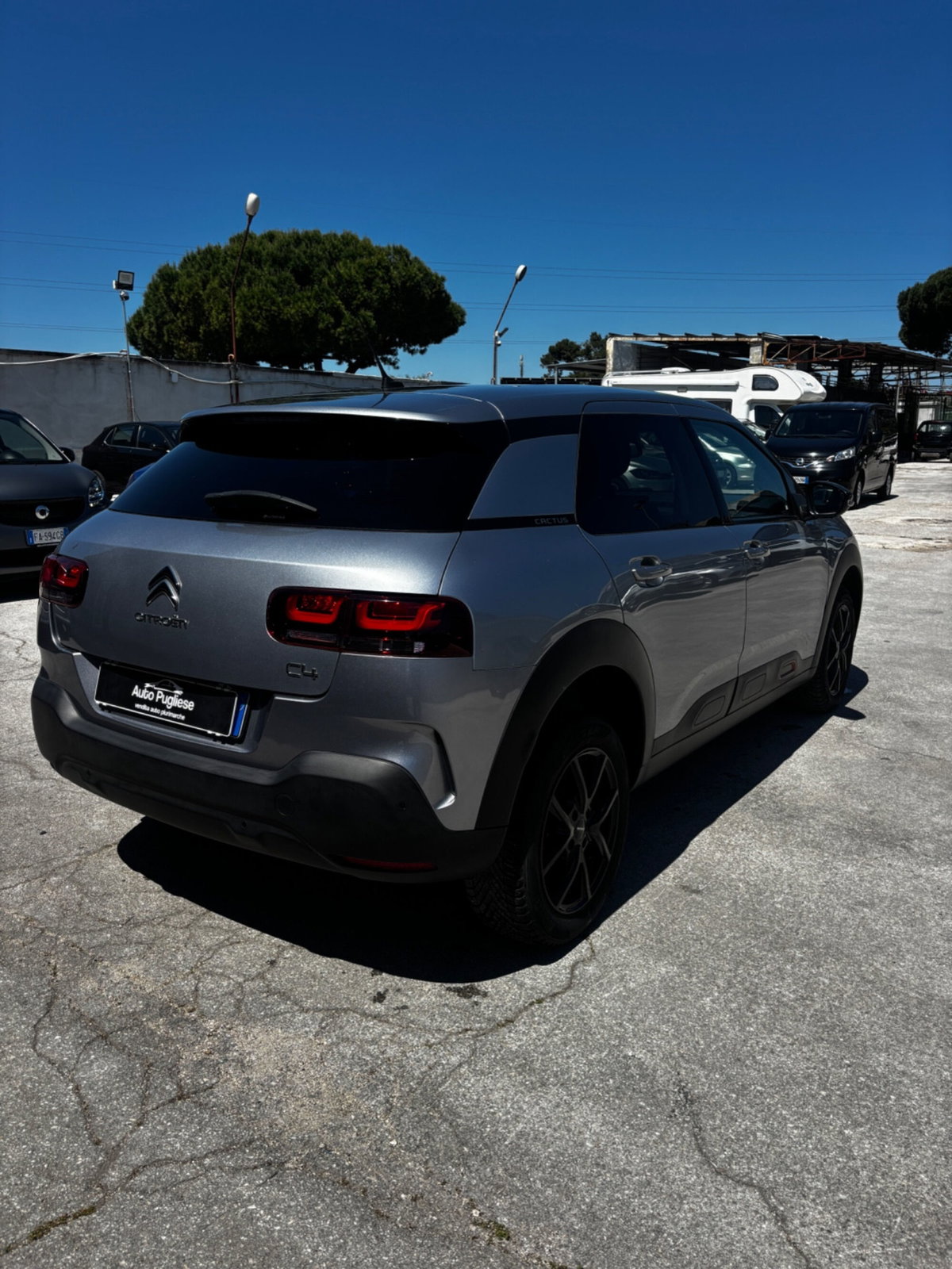 Citroen C4 Cactus BlueHDi 100 S&S Shine (5)