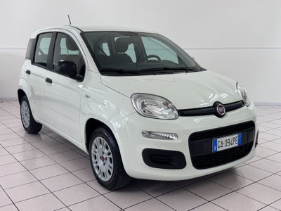 Fiat Panda 1.2 Easy (3)