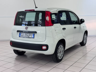 Fiat Panda 1.2 Easy (5)