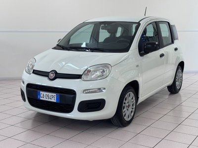 Fiat Panda 1.2 Easy usata