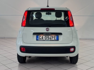 Fiat Panda 1.2 Easy (6)