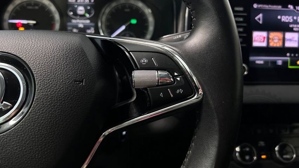 Skoda Karoq 2.0 TDI SCR 4x4 DSG Executive (12)
