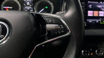 Skoda Karoq 2.0 TDI SCR 4x4 DSG Executive (12)