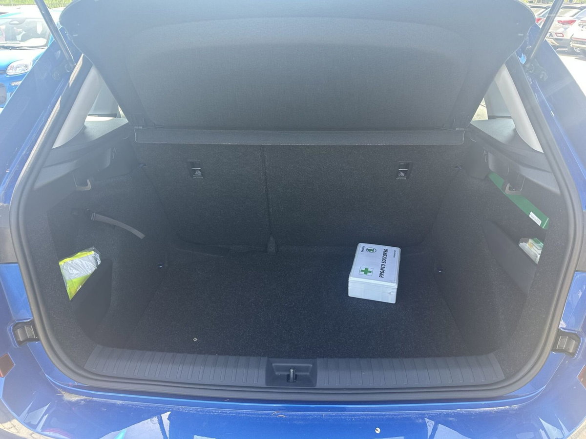Skoda Kamiq 1.0 TSI 110 CV DSG Style (10)