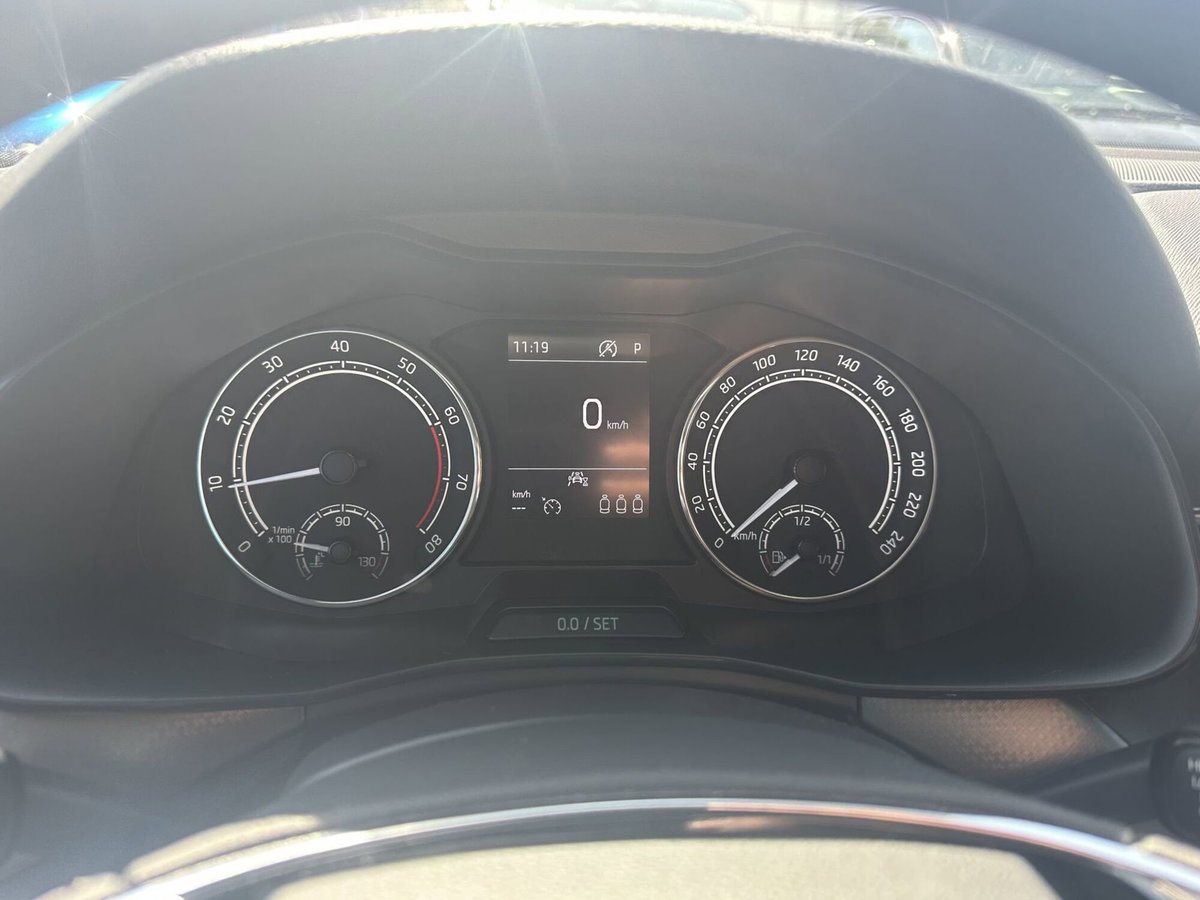Skoda Kamiq 1.0 TSI 110 CV DSG Style (17)