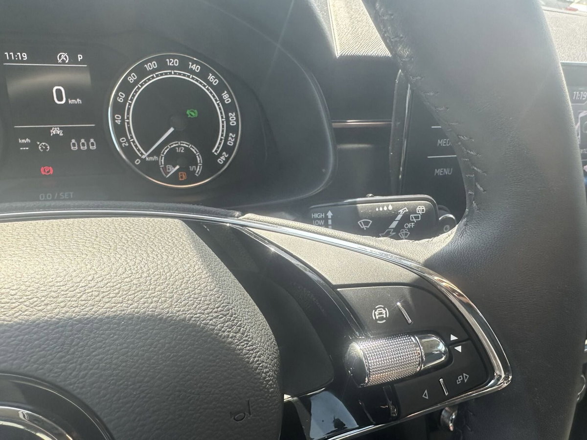 Skoda Kamiq 1.0 TSI 110 CV DSG Style (19)