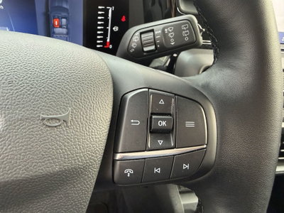 Ford Tourneo Courier 1.0 EcoBoost 100 CV Titanium (15)