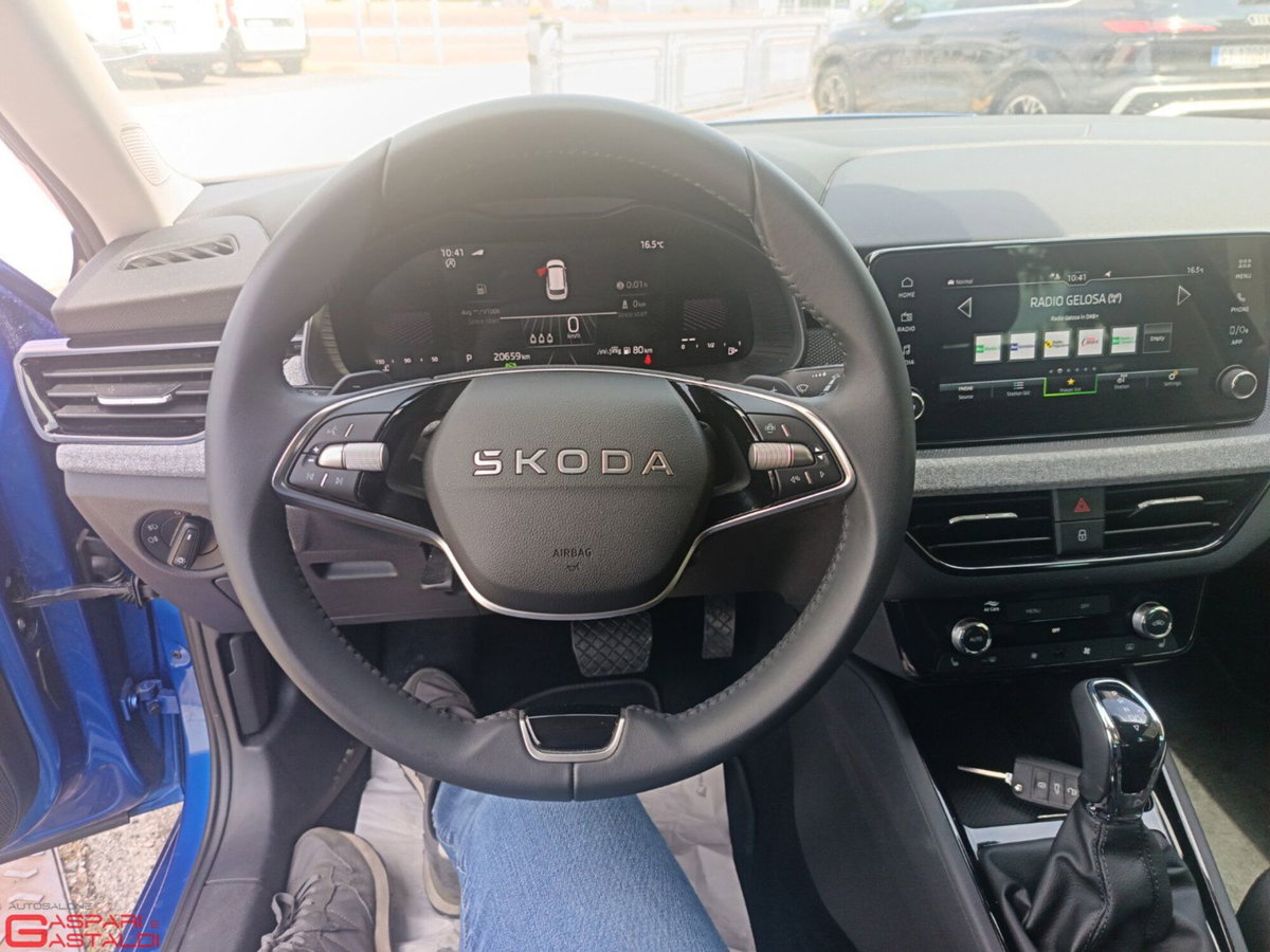 Skoda Kamiq 1.0 tsi Black Dots 115cv dsg (9)