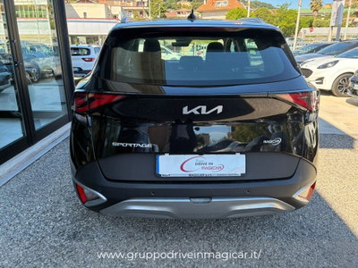 Kia Sportage 1.6 CRDI 136 CV 2WD Mild Hybrid Business Class (8)