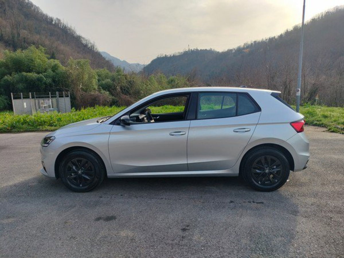 Skoda Fabia 1.0 mpi evo Young Edition 80cv (5)