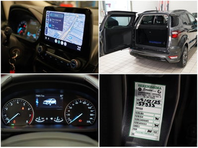 Ford EcoSport 1.0 EcoBoost 125 CV Start&Stop ST-Line Design (15)