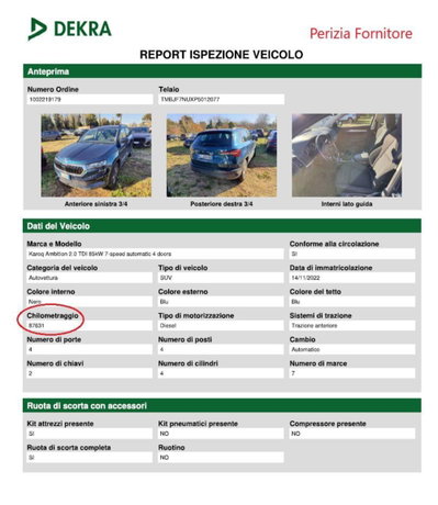 Skoda Karoq 2.0 tdi Selection 115cv (13)