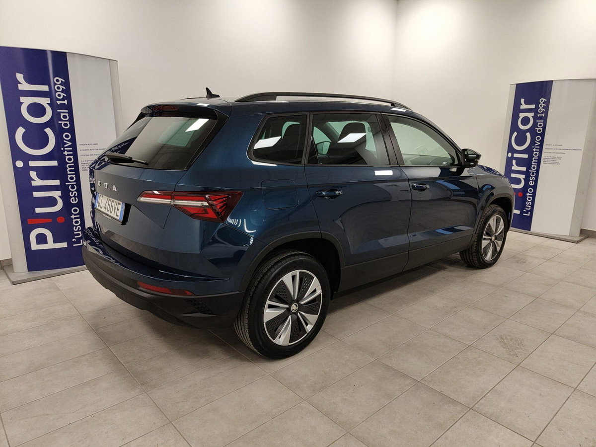 Skoda Karoq 2.0 tdi Selection 115cv (8)