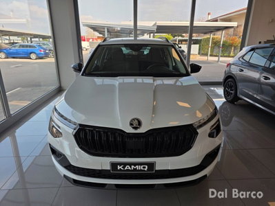 Skoda Kamiq 1.0 tsi Black Dots 115cv dsg (2)