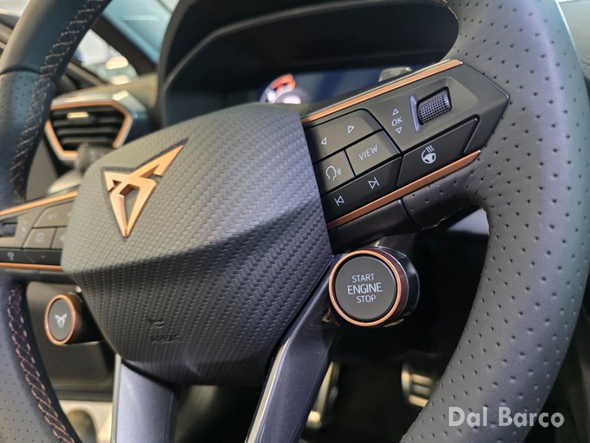 Cupra Formentor Formentor 1.4 e-Hybrid DSG (16)