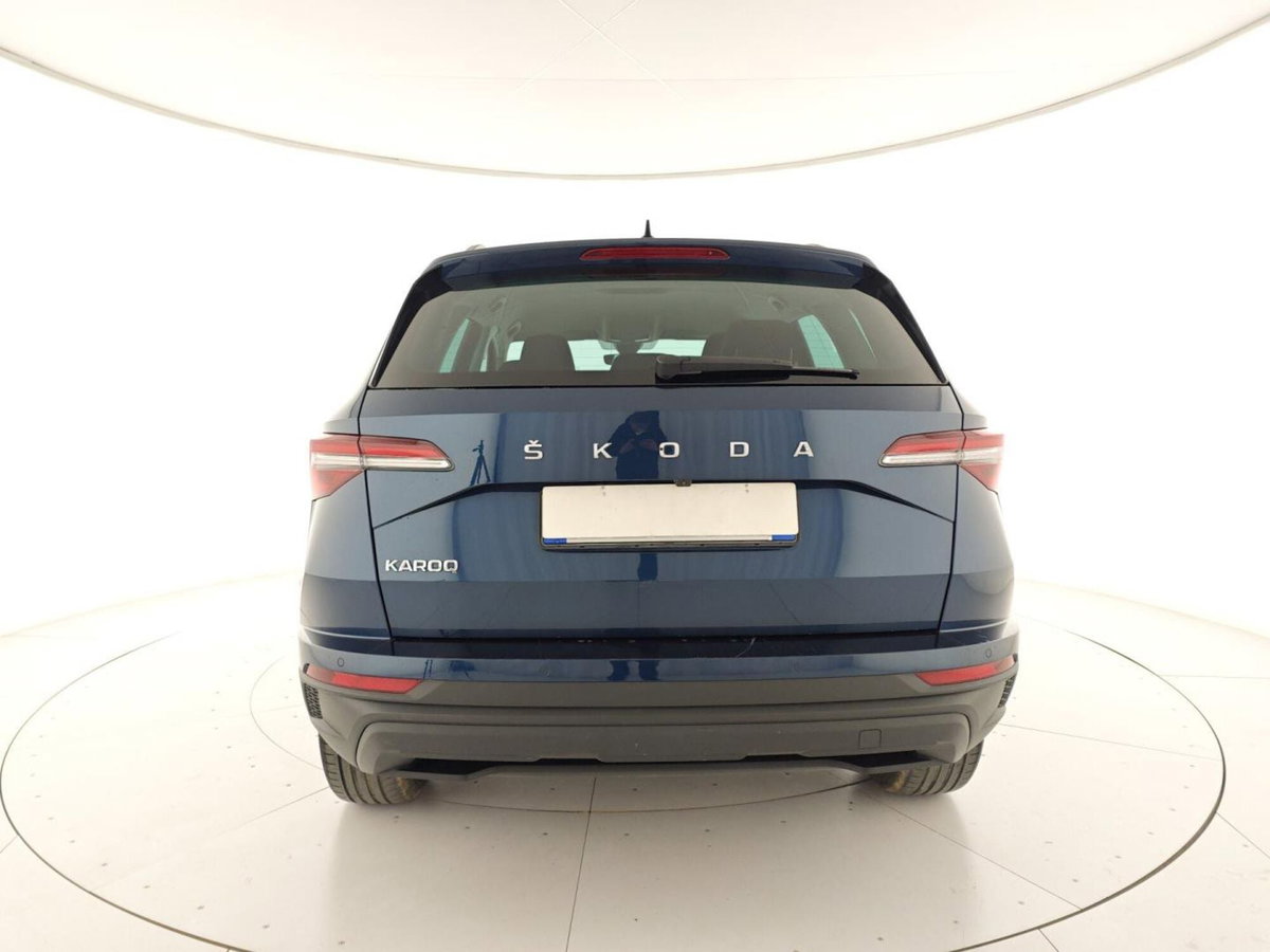 Skoda Karoq 2.0 TDI EVO SCR 115 CV DSG Executive (3)