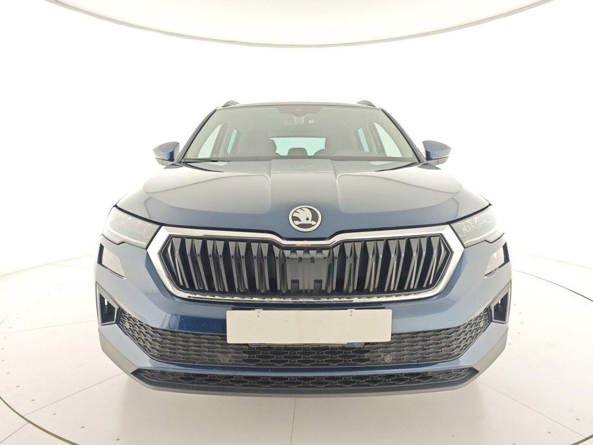 Skoda Karoq 2.0 TDI EVO SCR 115 CV DSG Executive (4)