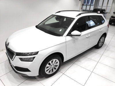 Skoda Kamiq 1.0 TSI 110 CV DSG Ambition (14)