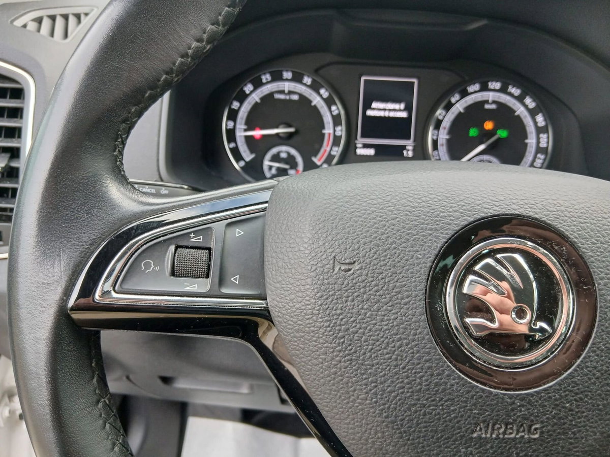 Skoda Karoq 2.0 TDI EVO SCR 4x4 DSG Style (19)