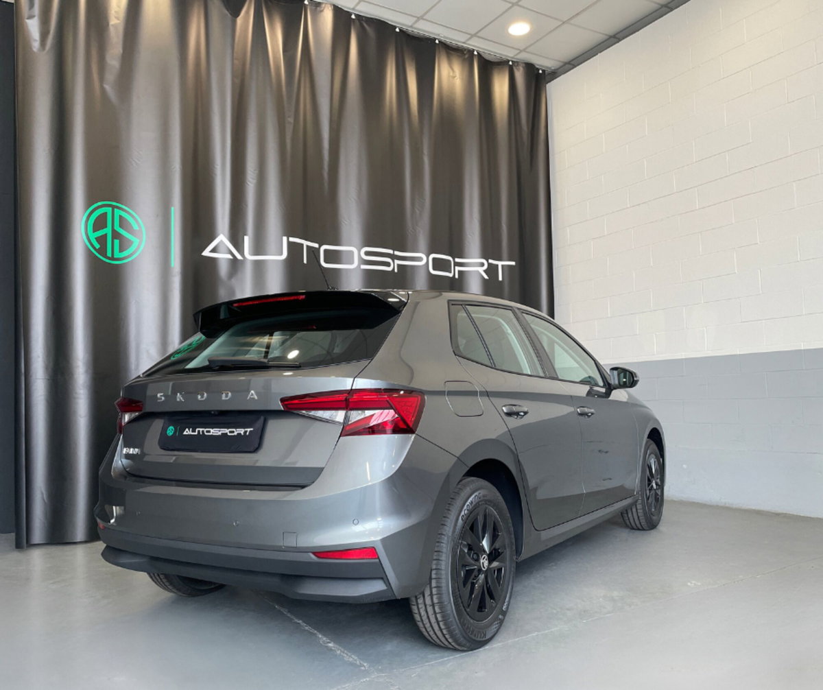 Skoda Fabia 1.0 mpi evo Young Edition 80cv (4)