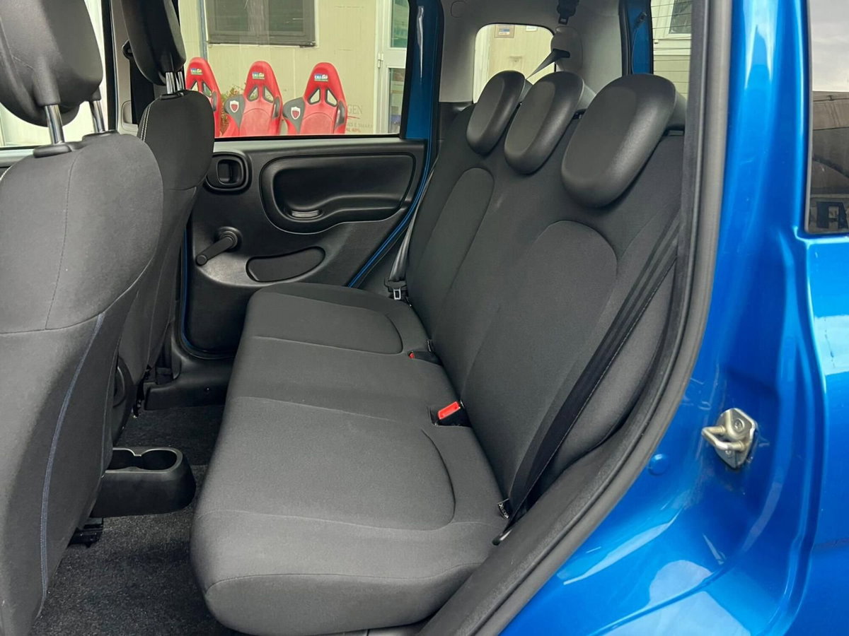 Fiat Panda Cross Cross 1.0 FireFly S&S Hybrid (15)