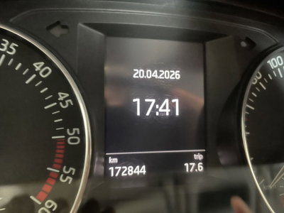 Skoda Fabia 1.4 TDI 75 CV Design Edition (15)