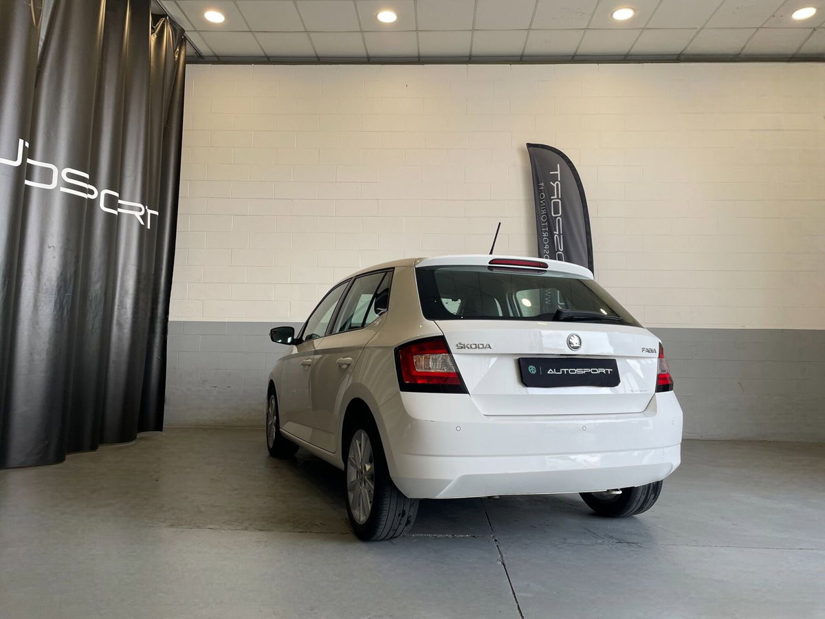 Skoda Fabia 1.4 TDI 75 CV Design Edition (4)